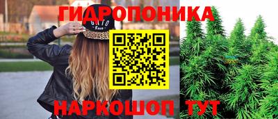 a pvp Гусиноозёрск