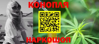 гашик Дубна