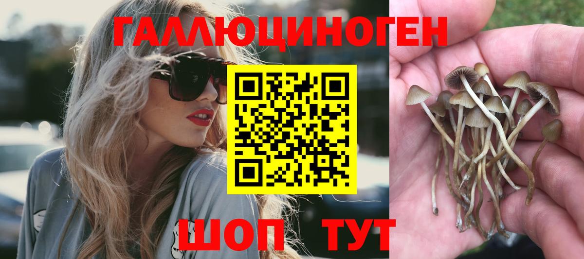 Галлюциногенные грибы Psilocybe  Псилоцибиновые грибы ЛСД  Гуково  где продают   Вход с VPN 